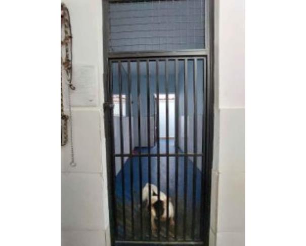 Foto de EXTRAJUDICIAL