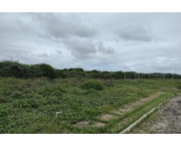 Terreno no Centro? em Barra de São Miguel/AL — foto 1