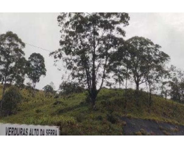 Foto de EXTRAJUDICIAL