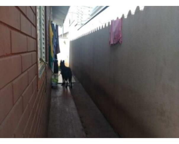 Foto de EXTRAJUDICIAL
