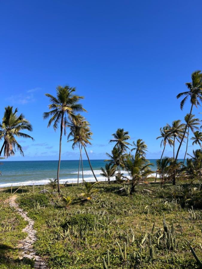 EXTRAJUDICIAL Leilão de 2 lotes na Praia do Forte/BA, localizado em Mata De São João - BA