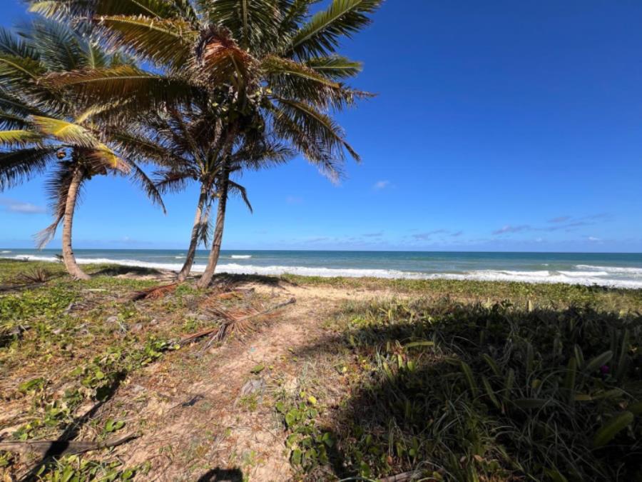 EXTRAJUDICIAL Leilão de 2 lotes na Praia do Forte/BA, localizado em Mata De São João - BA