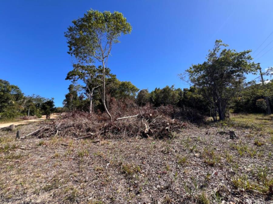 EXTRAJUDICIAL Leilão de 2 lotes na Praia do Forte/BA, localizado em Mata De São João - BA