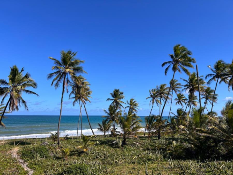 EXTRAJUDICIAL Leilão de 2 lotes na Praia do Forte/BA, localizado em Mata De São João - BA