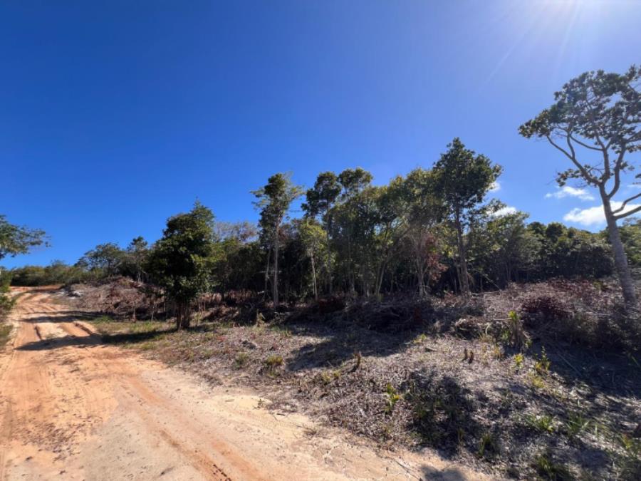 EXTRAJUDICIAL Leilão de 2 lotes na Praia do Forte/BA, localizado em Mata De São João - BA